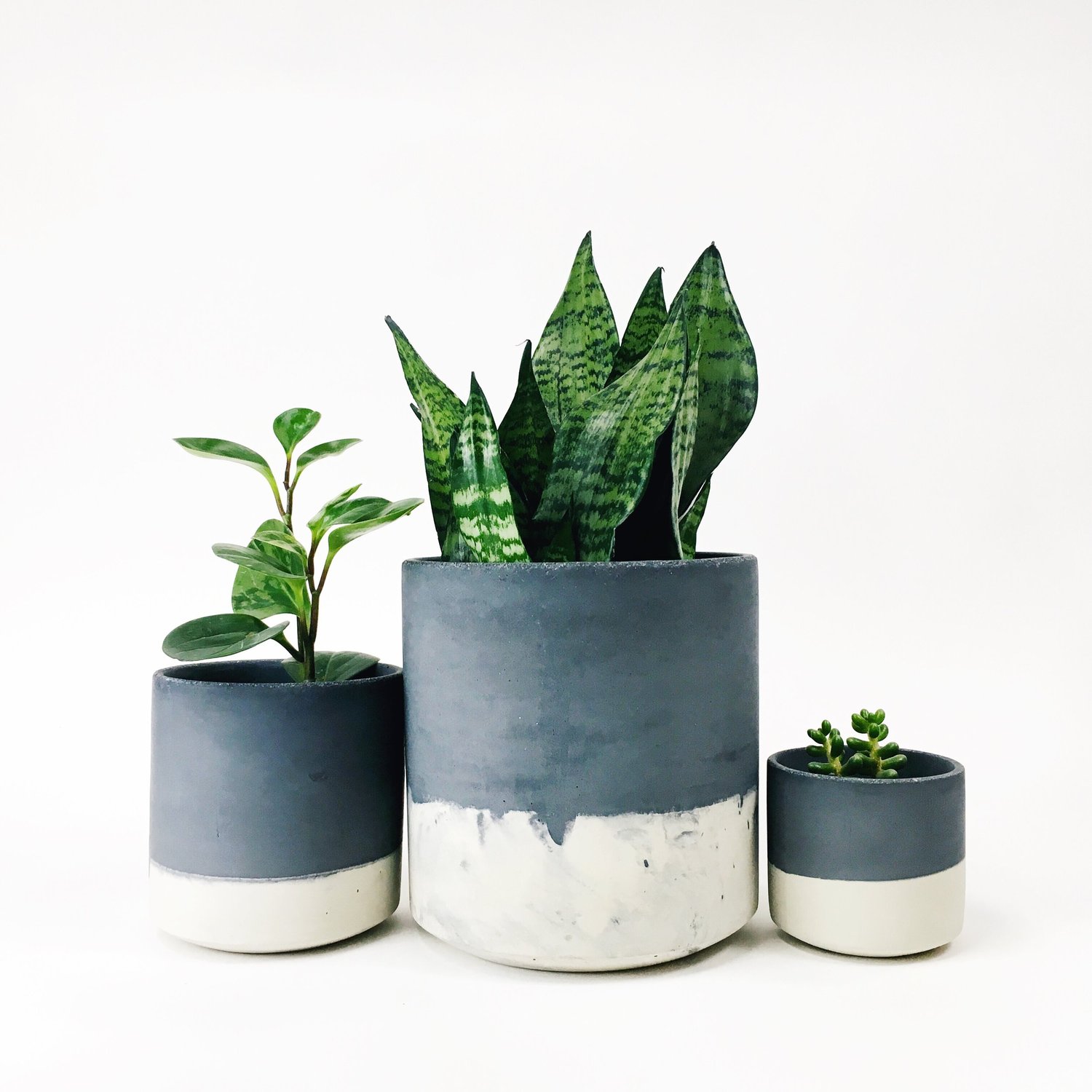 Straight Sided Pots / Dark Gray Two Tone — SETTLEWELL | Modern